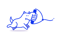 dog running